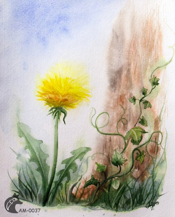Klicken zum Vergrößern Aquarell Löwenzahn